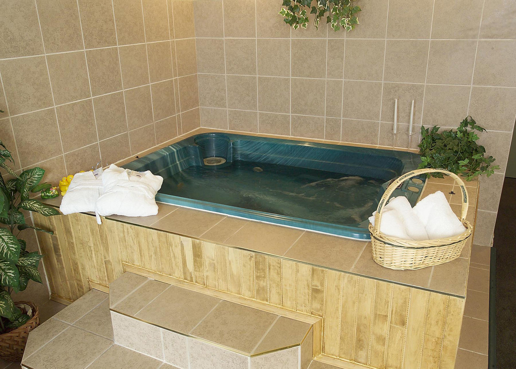 Quality Inn & Suites Батърст Екстериор снимка