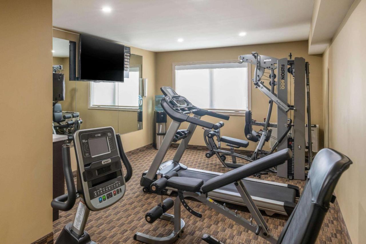 Quality Inn & Suites Батърст Екстериор снимка