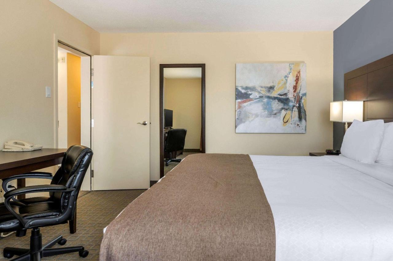 Quality Inn & Suites Батърст Екстериор снимка