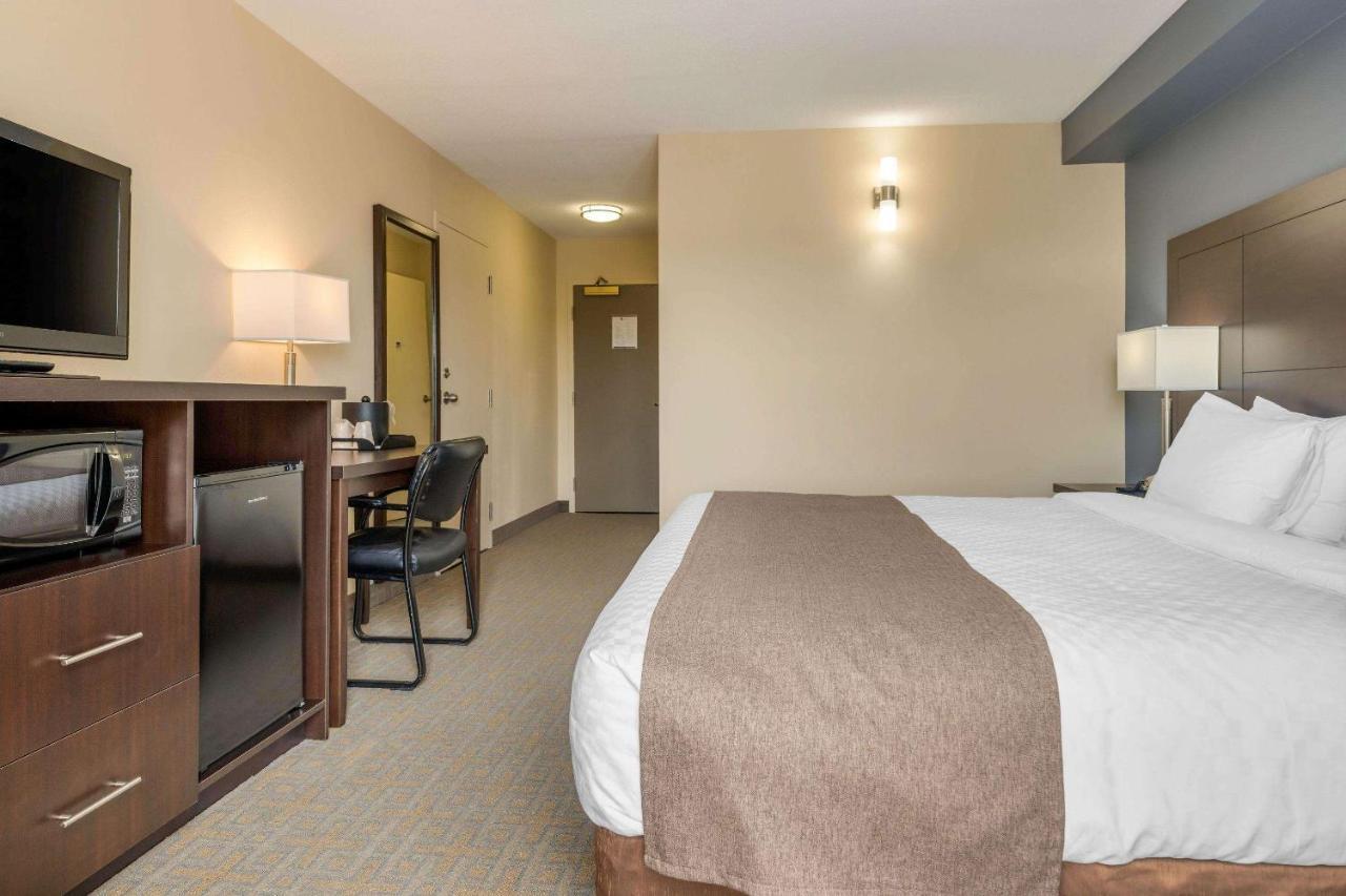 Quality Inn & Suites Батърст Екстериор снимка